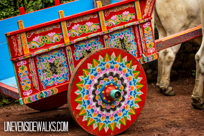 Traditional Cart Pulled by Oxen